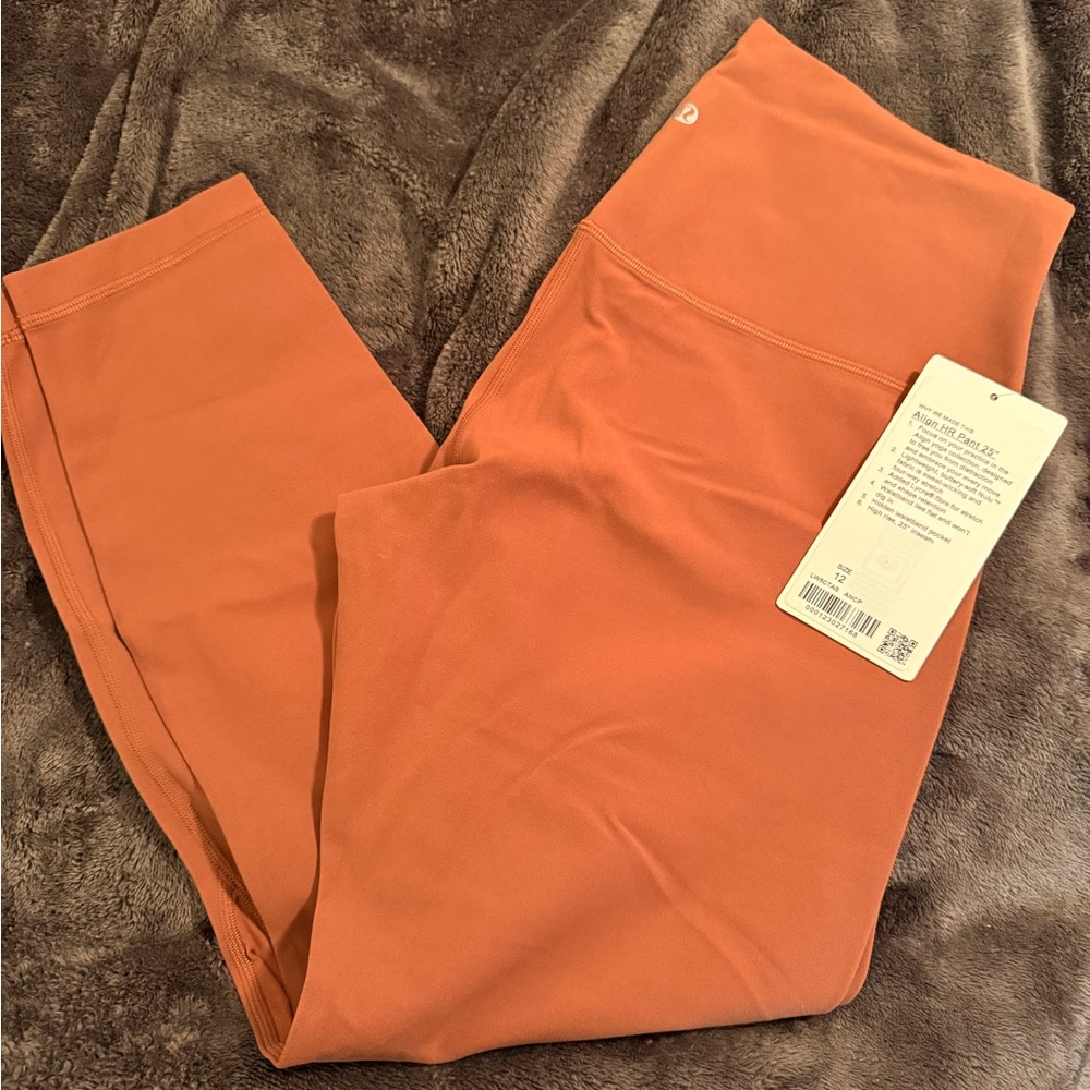 Ancient Copper High-Waisted Align Leggings